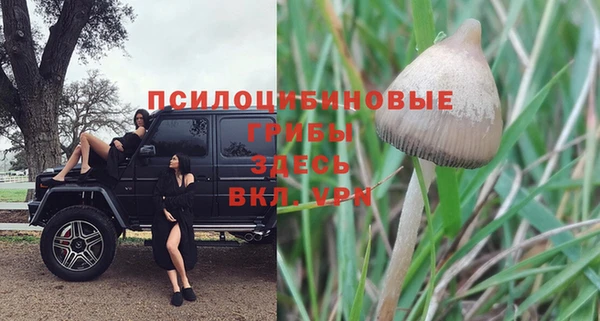 МДПВ Алексин