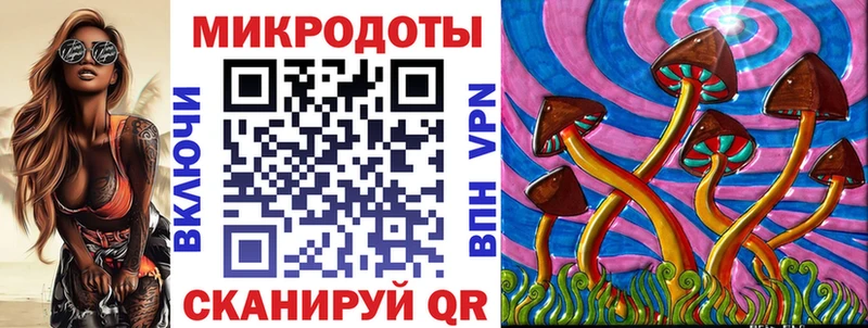 Псилоцибиновые грибы Psilocybe Арсеньев